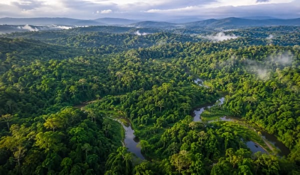 Indonesië introduceert nieuwe regelgeving voor bosbouw-CO₂-markt