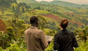 30 miljoen bomen: Microsofts enorme Oegandese CO₂-inzet