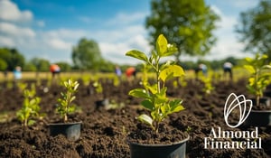 Almond Financial wordt CO₂-neutraal: een model voor Britse bedrijven