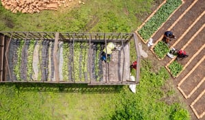 Hoe aanvullende voordelen de waarde van CO₂-certificaten verhogen