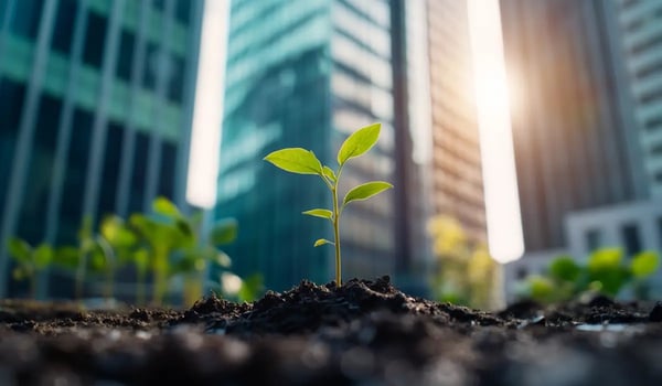 Onderzoek: klimaatneutraliteitsdoelen van bedrijven nemen weer toe