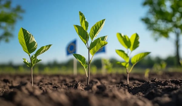 EU stemt in met opname CO₂-compensatie in groen transitieplan 2040