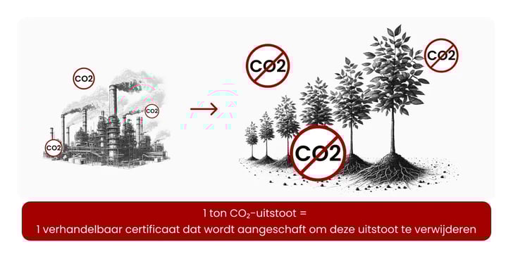 Eyes in the Sky, Roots in the Soil_Innovations in Monitoring Nature-Based Carbon_visual 10_NL