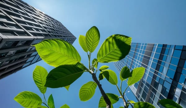 CO₂-markt: record aan overeenkomsten en stijgende investeringen