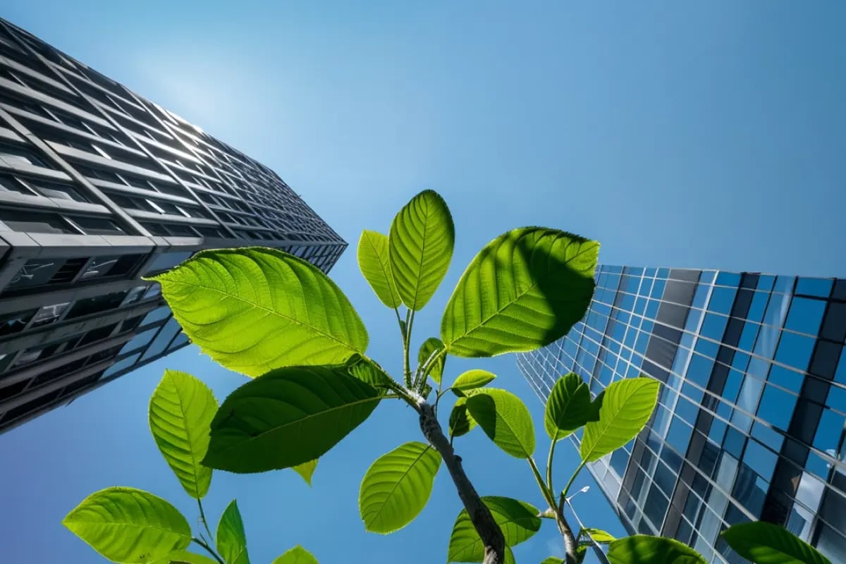 Global Carbon Market Surges with Record Deals and Rising Investments_visual 1