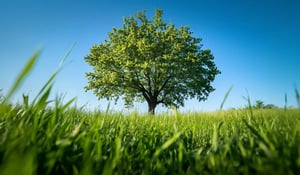 Hoeveel CO2 neemt een boom op?