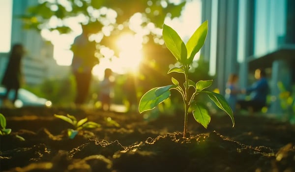 Hoe bedrijven CO₂-certificaten inzetten