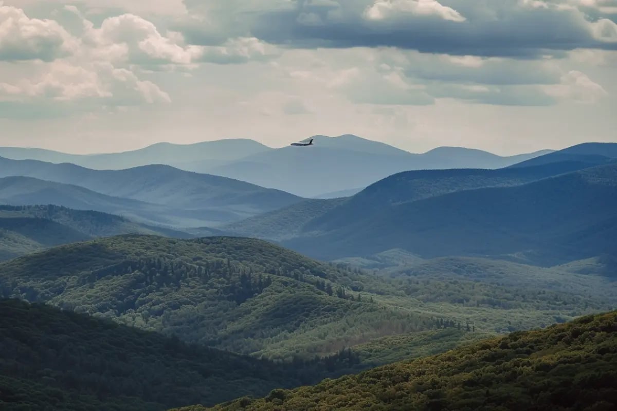IATA Nearly Doubles Forecast for Airline Carbon Credit Demand_Looking over lush hilly terrain toward a plane in the sky_visual 1