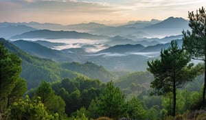 Italië zet eigen CO₂-register op ter versterking van bosbescherming