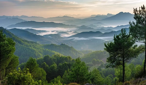 Italië zet eigen CO₂-register op ter versterking van bosbescherming