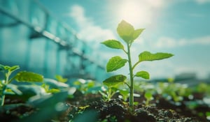 Natuurprojecten en technologische CO2-afvang vergeleken