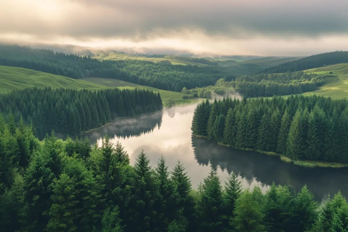 New Forecast Predicts Fourfold Growth in UK Carbon Credit Prices_Kielder Forest, the UK’s largest man-made forest_visual 1