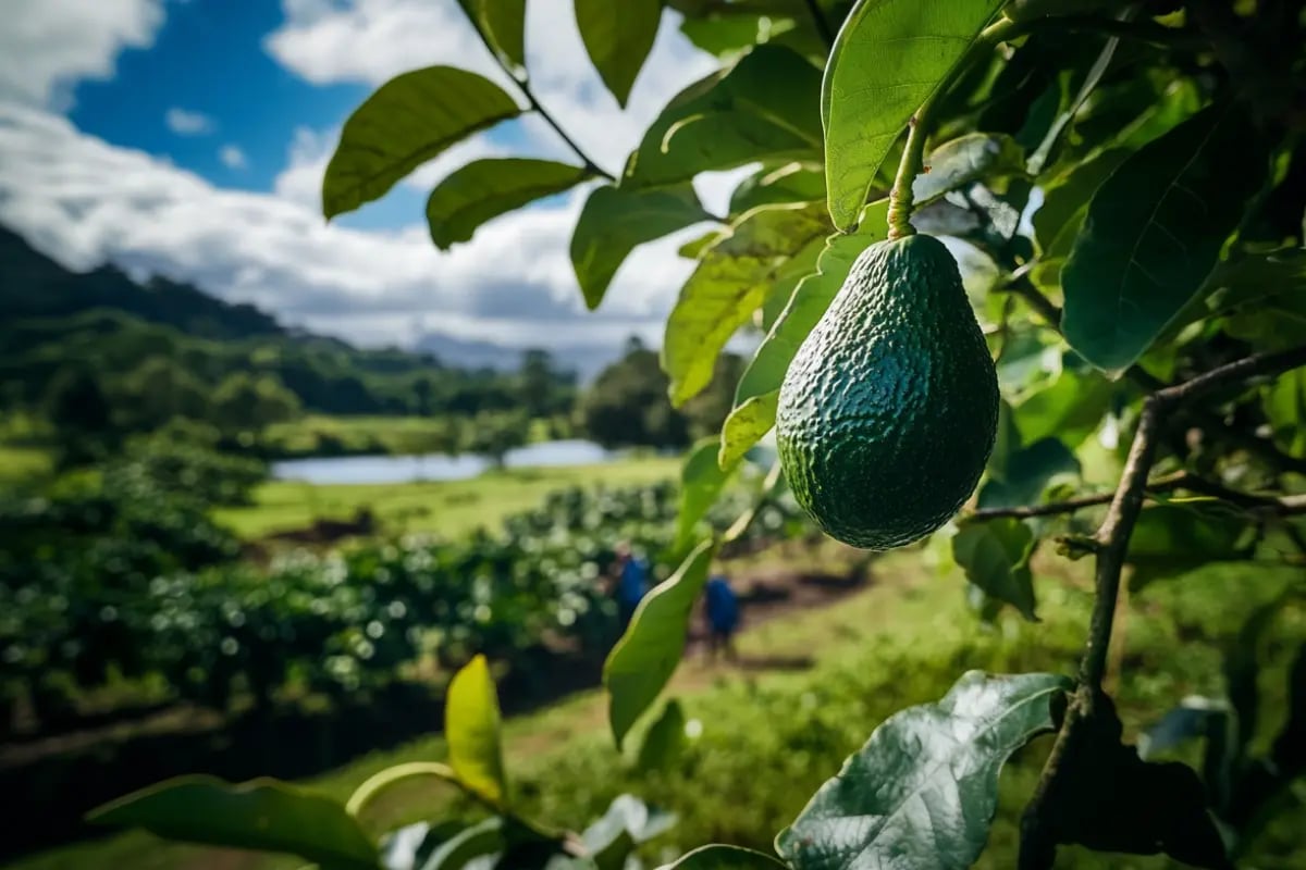 Picking the Right Carbon Unit Provider_ What Smart Buyers Should Know_visual 4