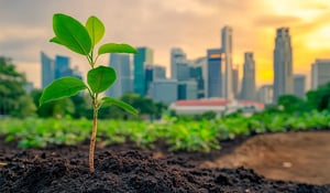 Singapore zet in op CO₂-handel en innovatie in groene technologie