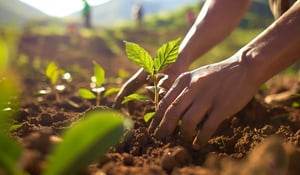 Zwitserland heeft mogelijk 80 mln CO₂-certificaten nodig