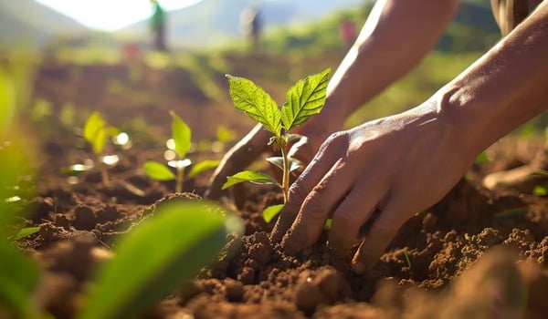 Zwitserland heeft mogelijk 80 mln CO₂-certificaten nodig