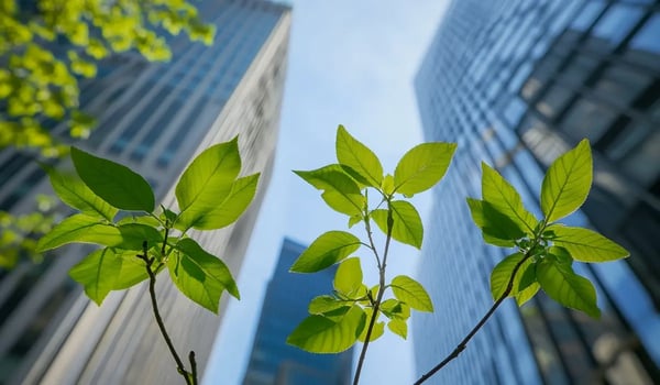 De opkomst van natuurprojecten voor CO₂-compensatie