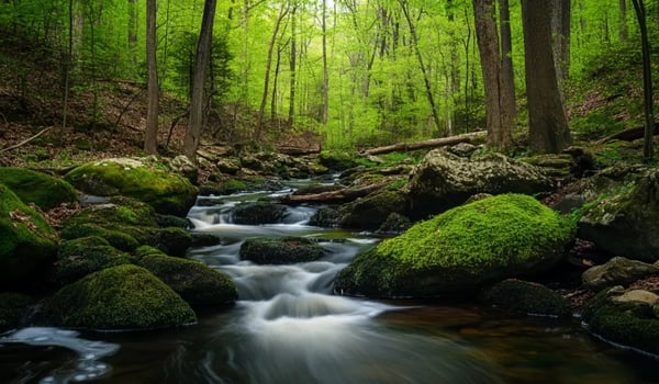 Washingtonse CO₂-certificaten mogelijk boven $100/t in de jaren 2030