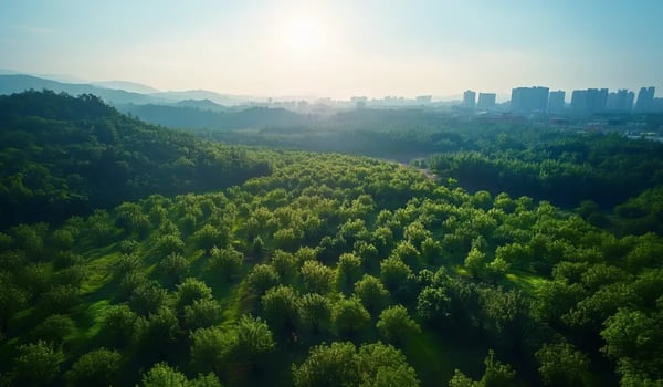 Wood Mackenzie: Investeringen in CO₂-oplossingen richting $1,2 biljoen