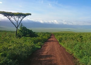 Nieuwe ontwikkelaar lanceert REDD+ project in Tanzania om ontbossing tegen te gaan